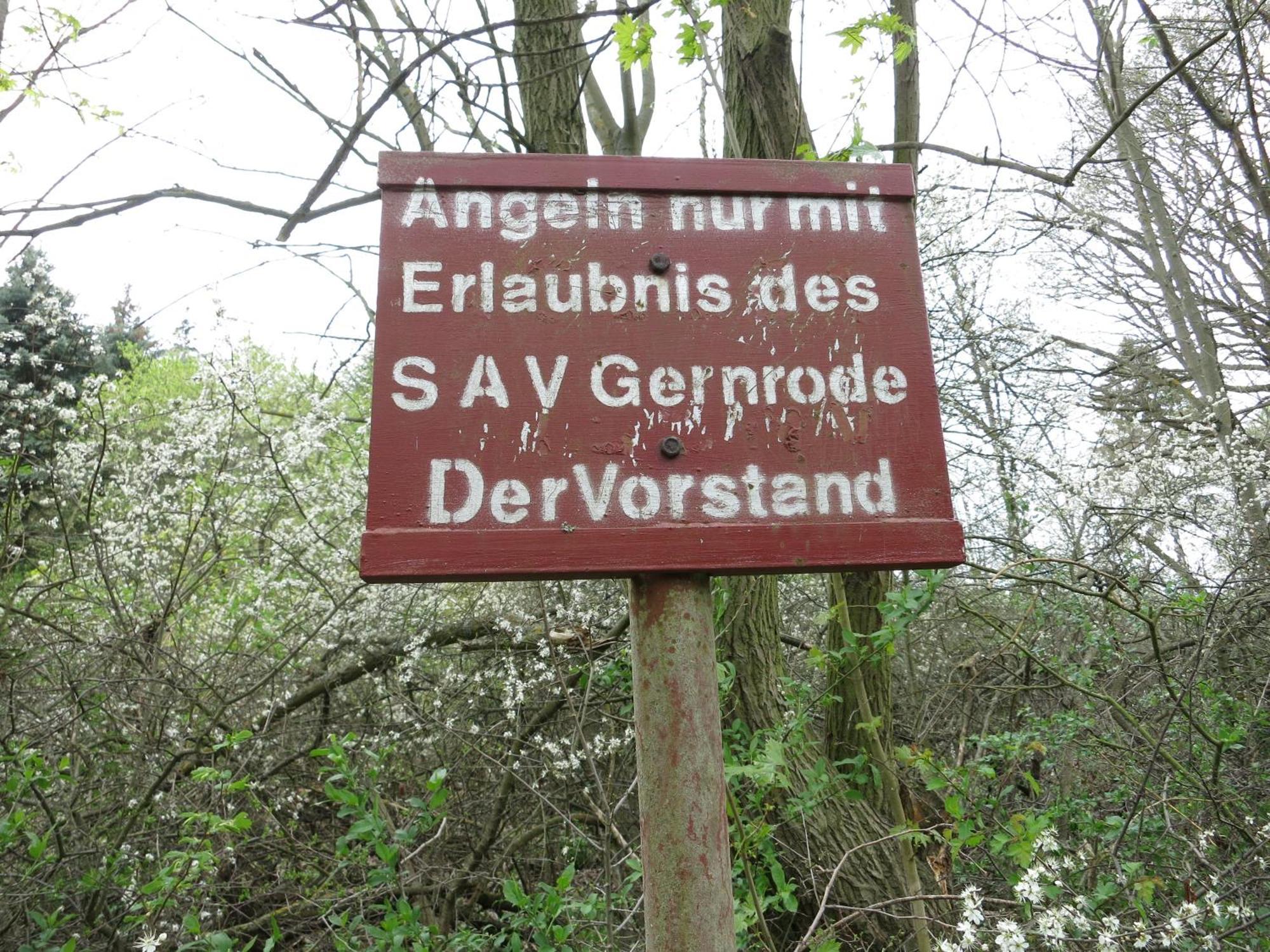 Gernrode  Bungalow Am Osterteich מראה חיצוני תמונה