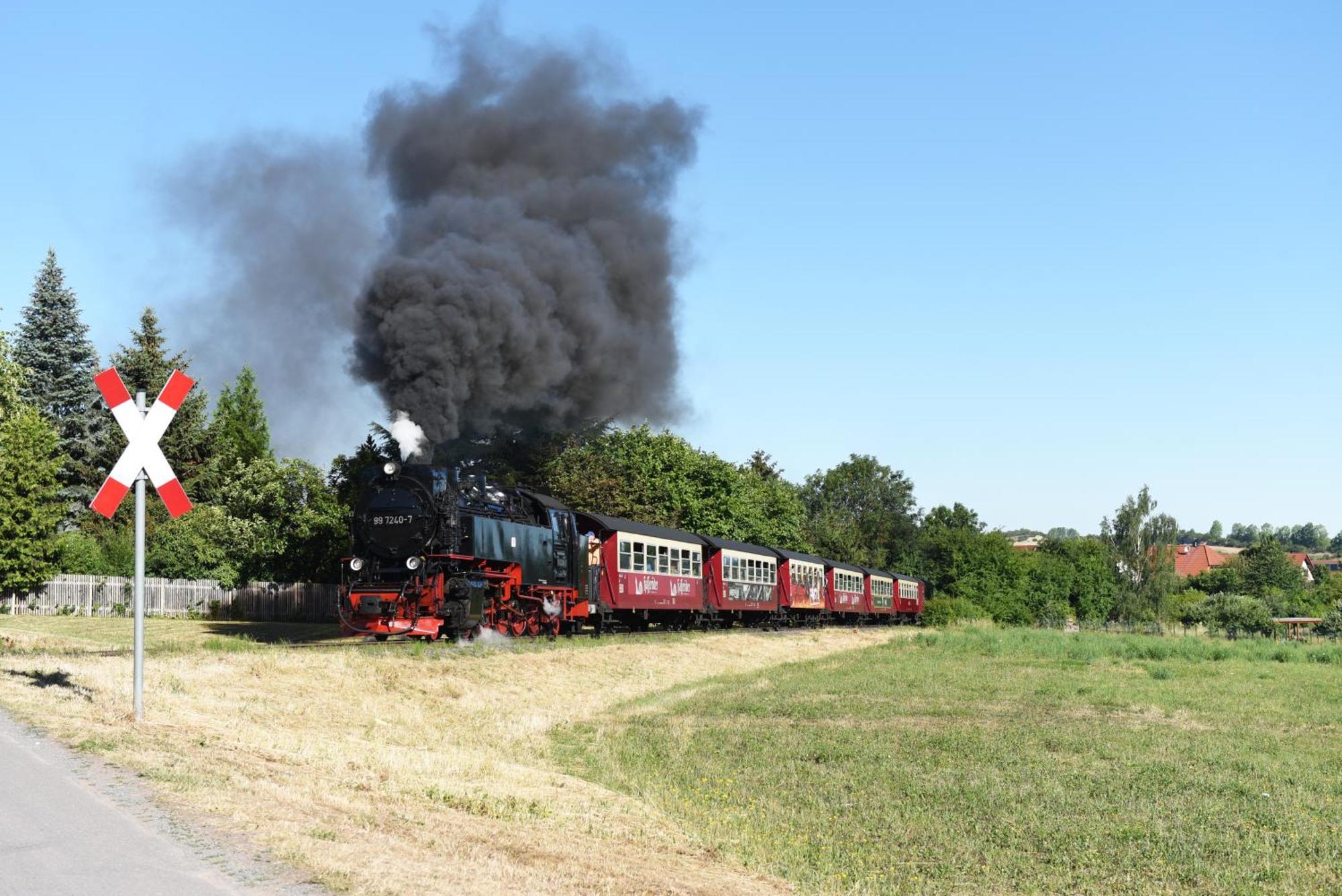 Gernrode  Bungalow Am Osterteich מראה חיצוני תמונה